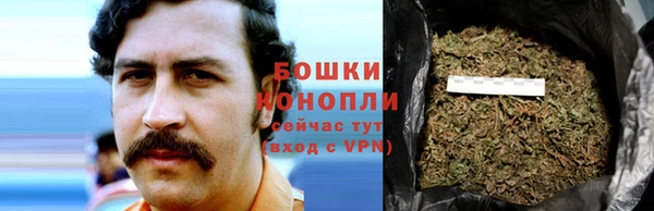 мдма Белокуриха