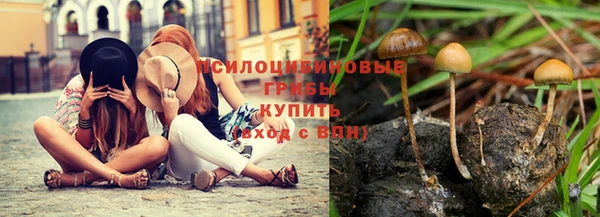 мдма Белокуриха