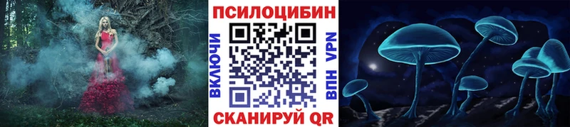 Купить где  Темрюк  Галлюциногенные грибы Psilocybe 